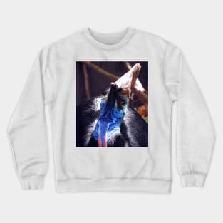 Southern Cassowary Crewneck Sweatshirt